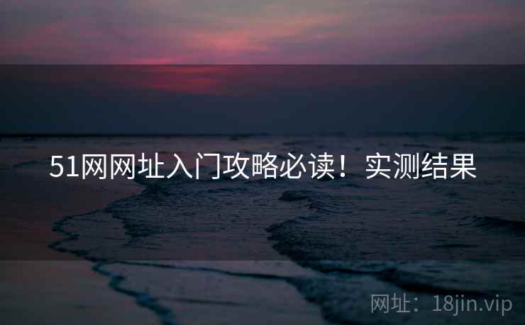 51网网址入门攻略必读！实测结果