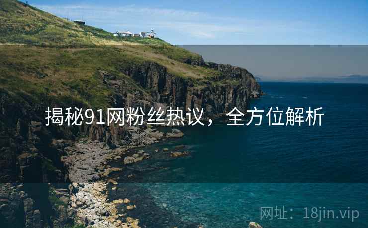 揭秘91网粉丝热议，全方位解析