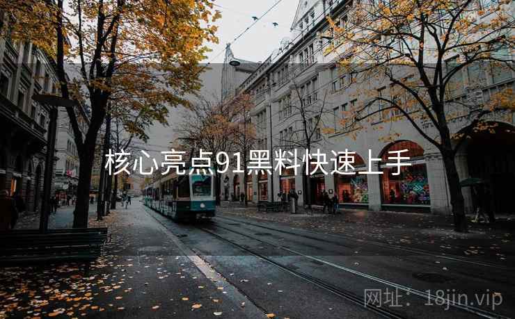 核心亮点91黑料快速上手