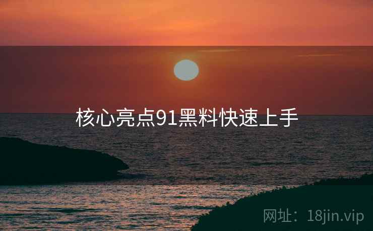 核心亮点91黑料快速上手