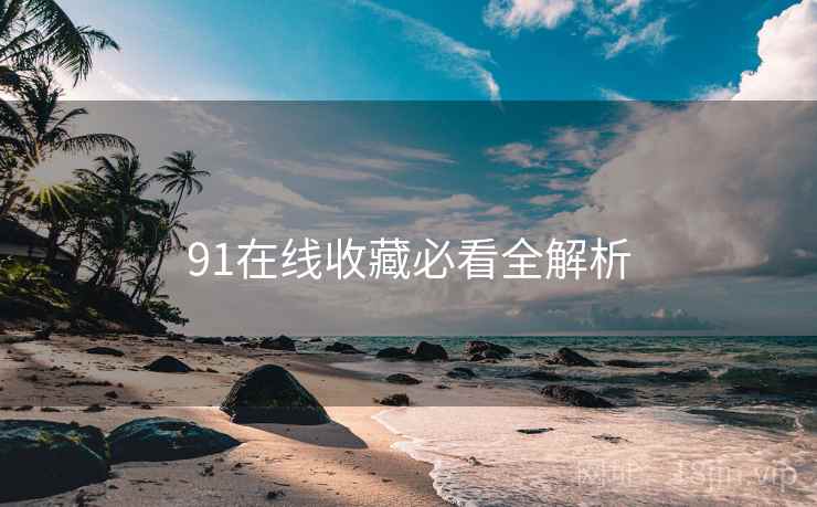 91在线收藏必看全解析