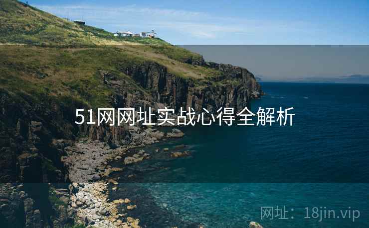 51网网址实战心得全解析 51网网址实战心得全解析