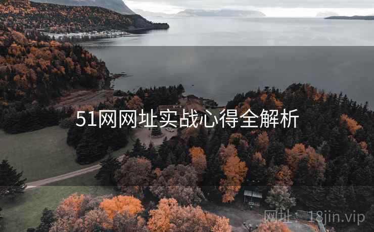 51网网址实战心得全解析