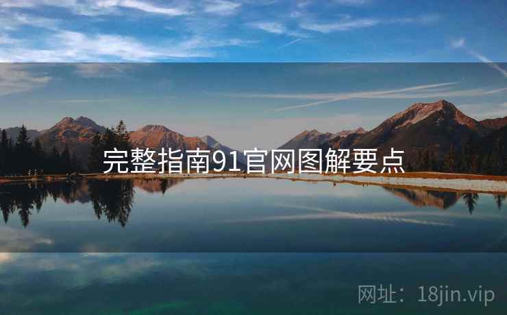 完整指南91官网图解要点